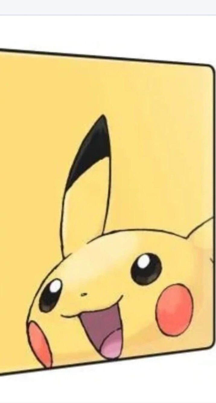 Nintendo Pikachu Pokemon Trading Card Binder 9 Pocket Portfolio Clear Holders